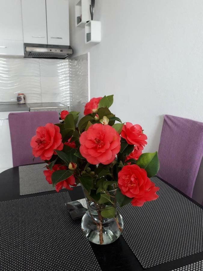 Apartment "Kamelia"Cavtat Kültér fotó