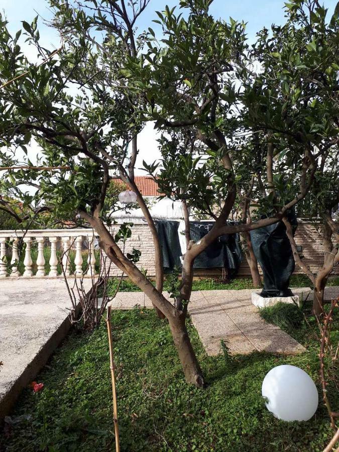 Apartment "Kamelia"Cavtat Kültér fotó